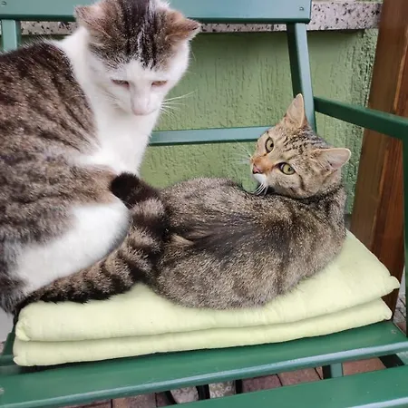 Toepferblick * Olbersdorf