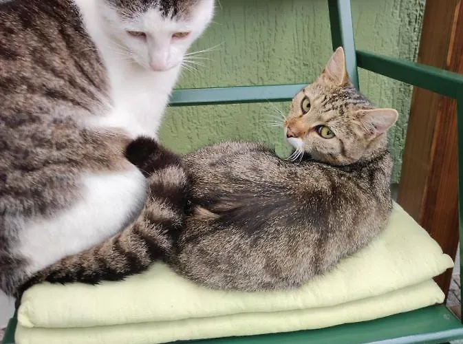 Toepferblick * Olbersdorf